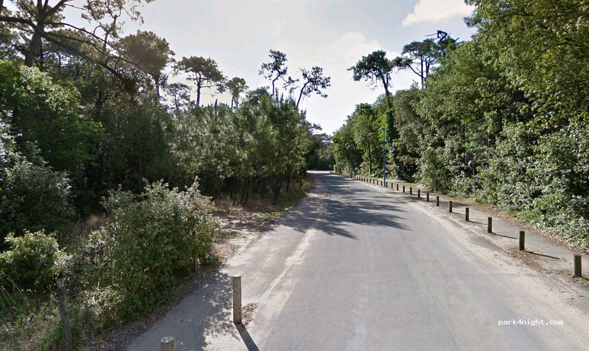 (85560) Longeville-sur-Mer - Chemin de la Jalousie — foto