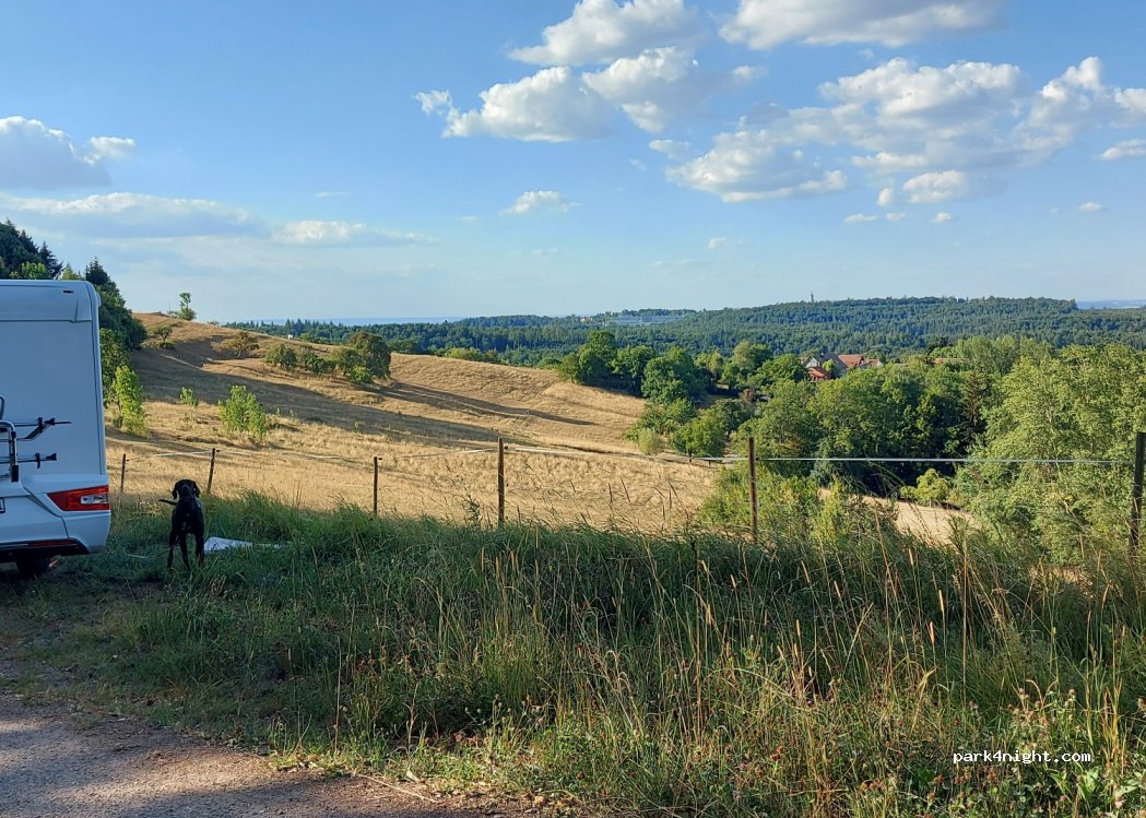 (74245) Löwenstein - K2097 — foto 2