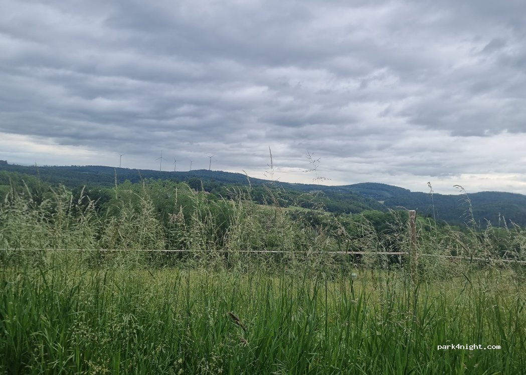 (74245) Löwenstein - K2097 — foto 4