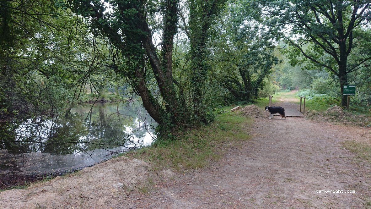 (56380) Monteneuf - 15 Rue du Chaperon Rouge — foto 4