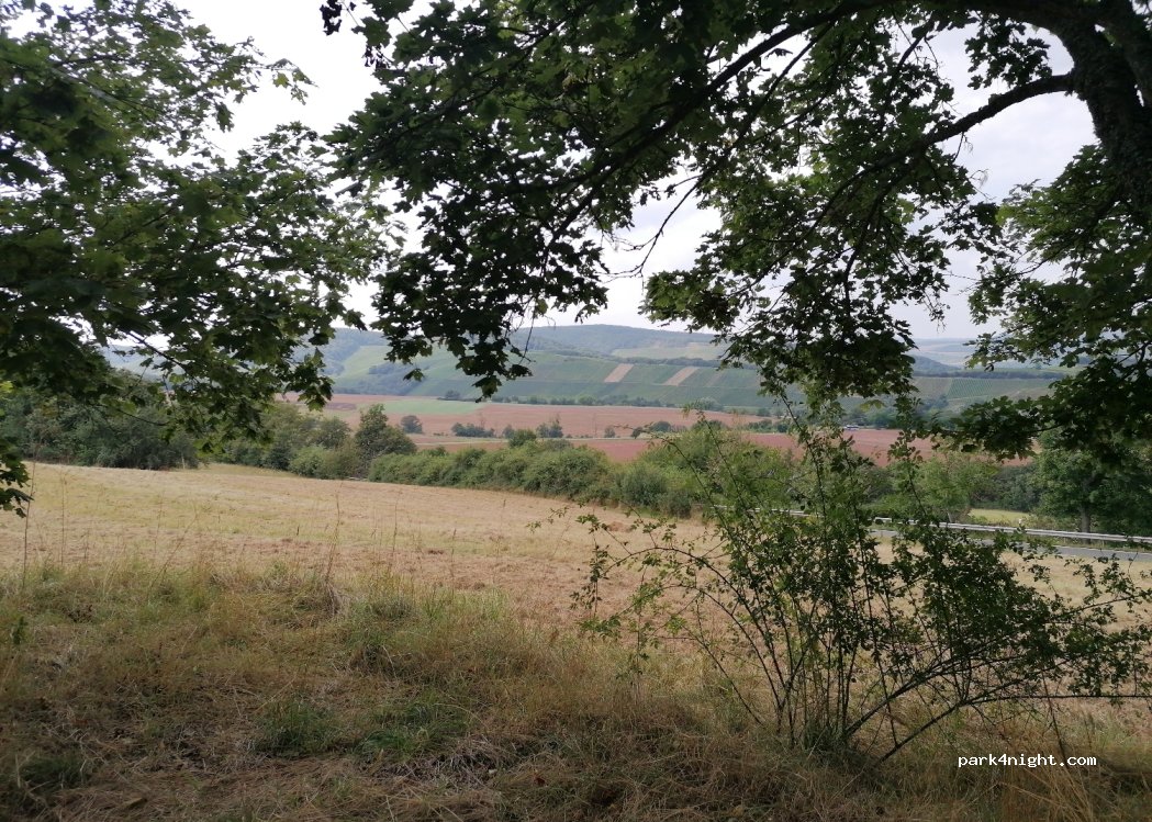 (55566) Meddersheim - L376 — foto