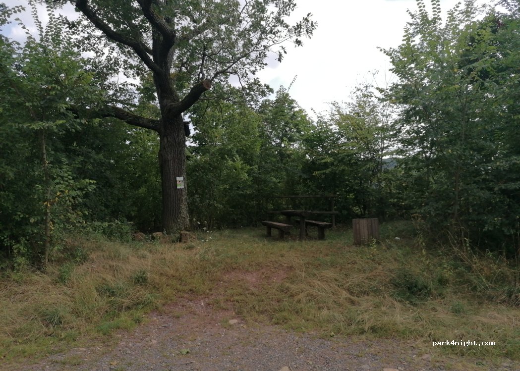 (55566) Meddersheim - L376 — foto 2