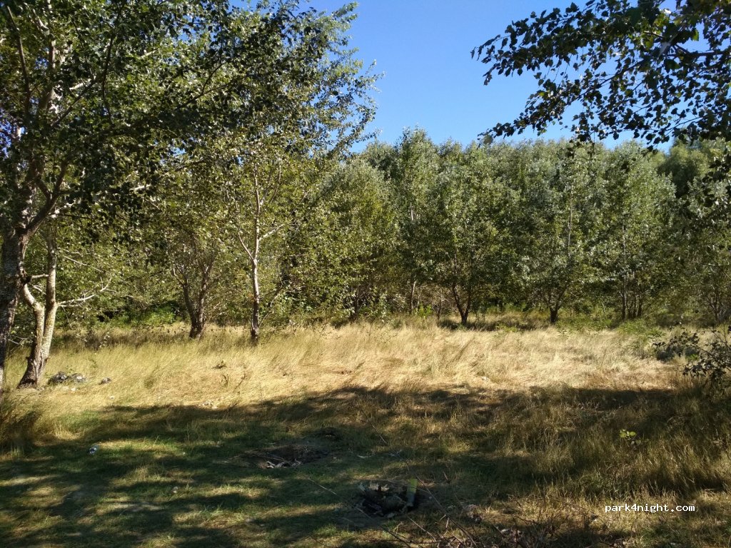 () Dunavăţu de Sus - Unnamed Road — foto 3
