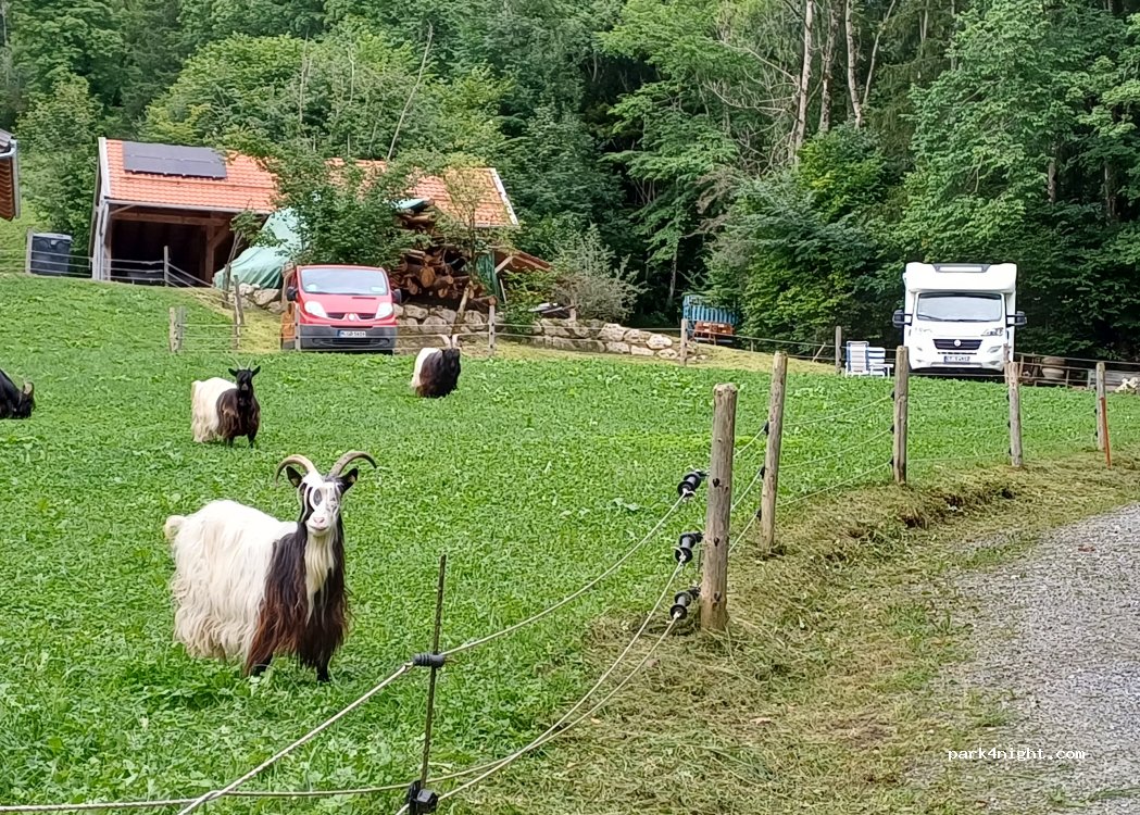 (83730) Fischbachau - Fischergreinweg 7 — foto 5