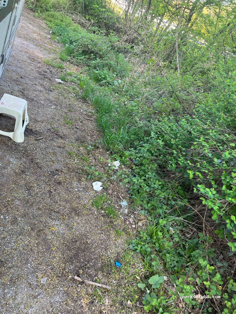 (65195) Wiesbaden - 7 Fasanerieweg — foto 4