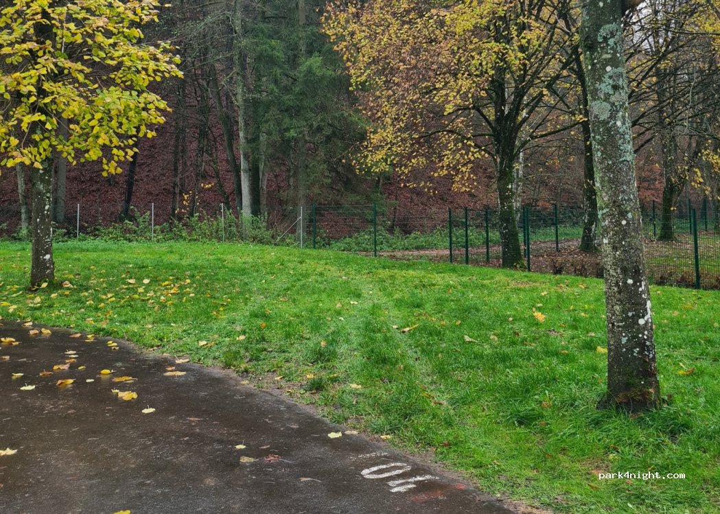 Waldcamping Prüm — foto 4