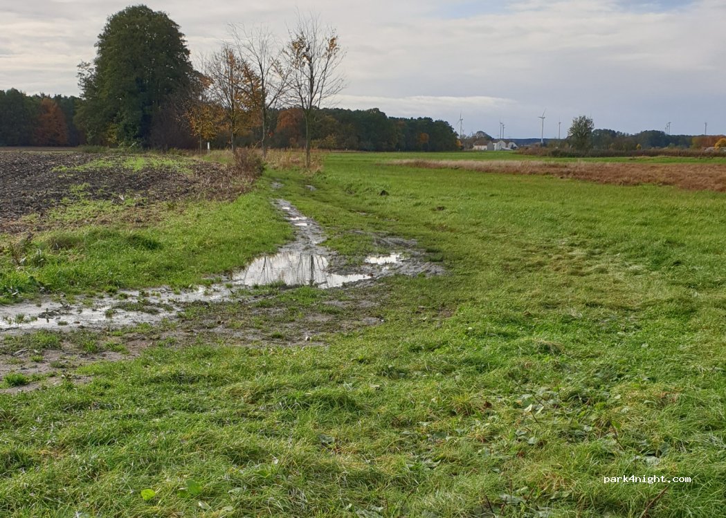 (14797) Kloster Lehnin - am See — foto 3