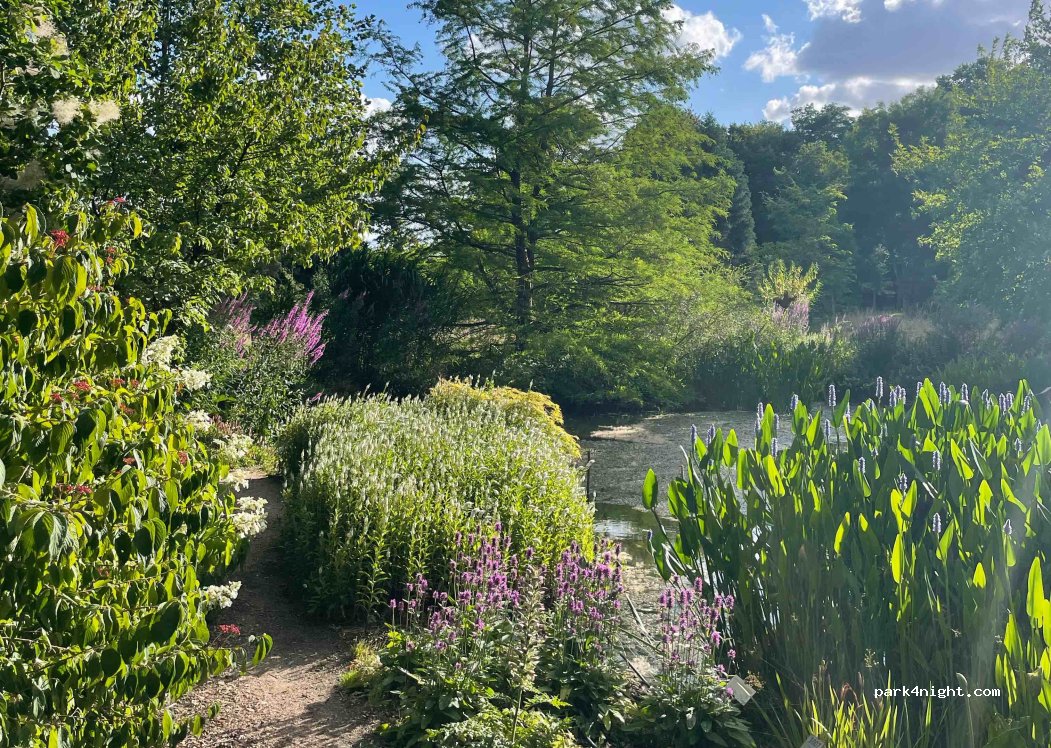 Aire Naturelle de Camping du Bois du Puits — foto 3