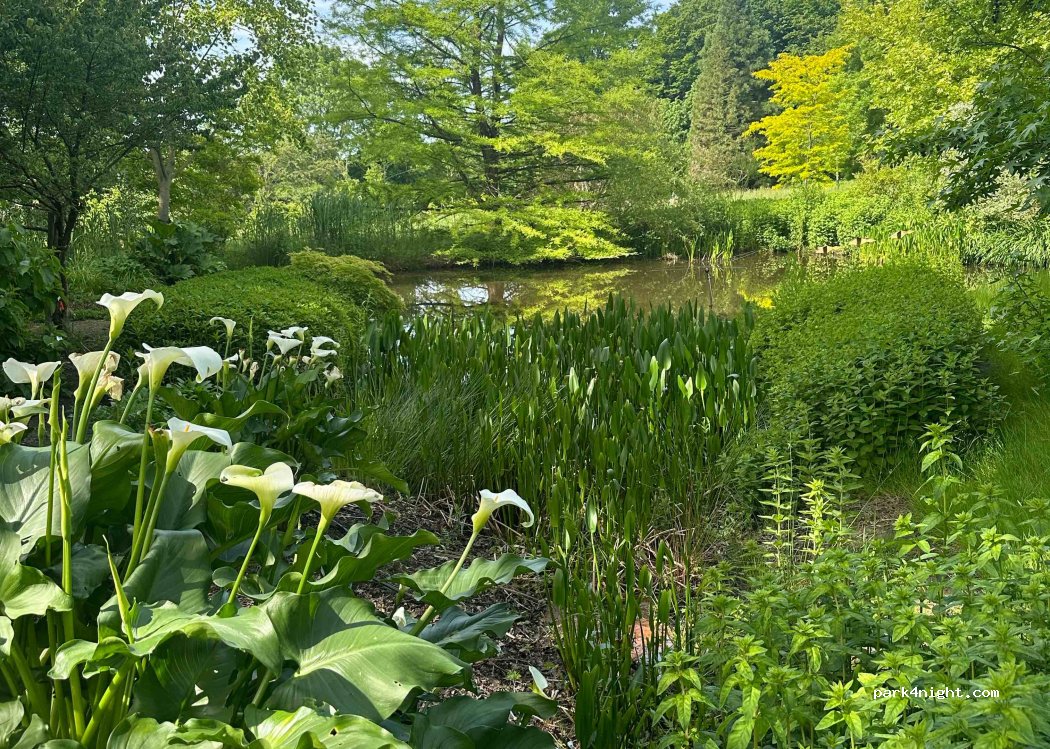 Aire Naturelle de Camping du Bois du Puits — foto 4
