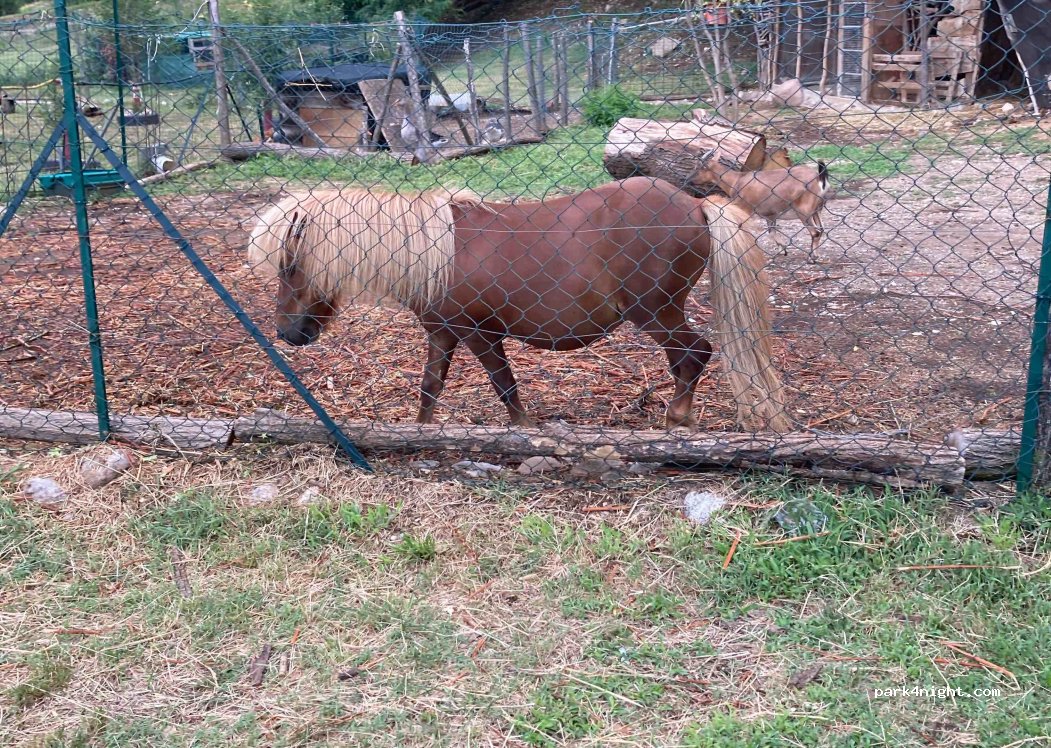 Cascina Le Volpi Agriturismo — foto 2