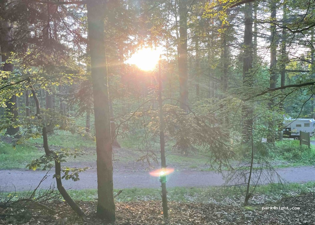 (67650) Dambach-la-ville - Unnamed Road — foto 4