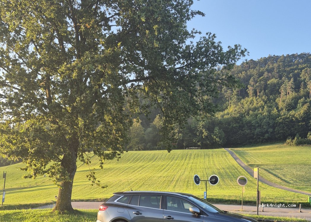 Parkplatz Eichhöhe Reigoldswilerstrasse — foto 4