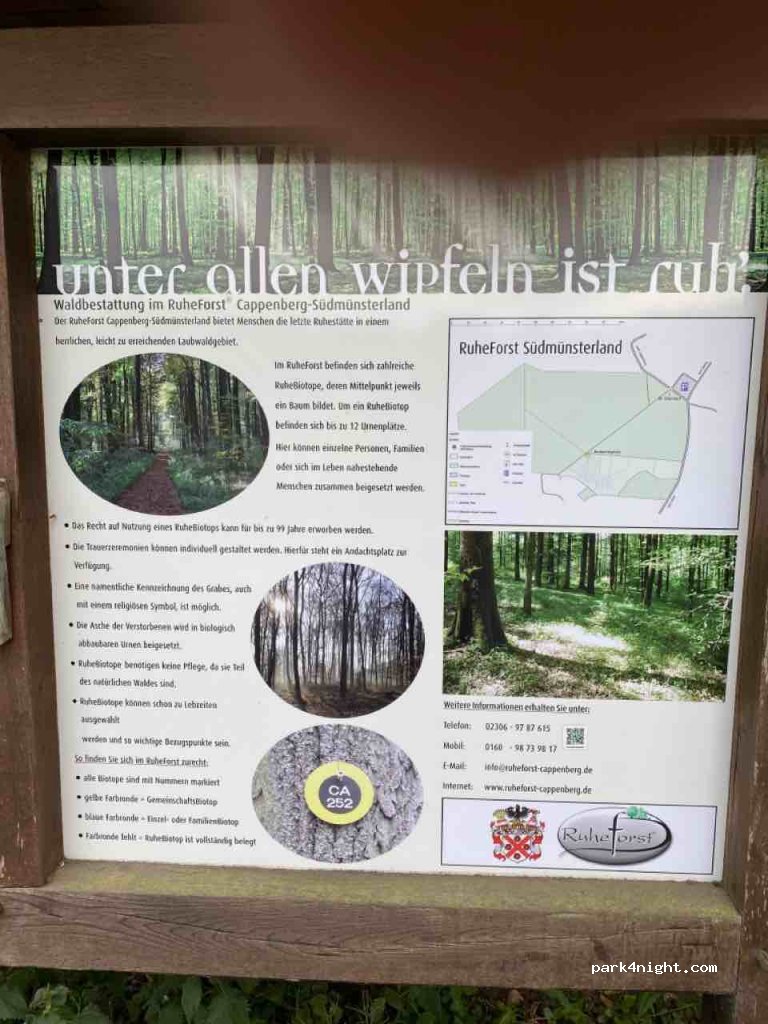 (59379) Selm - Am Brauereiknapp — foto 3