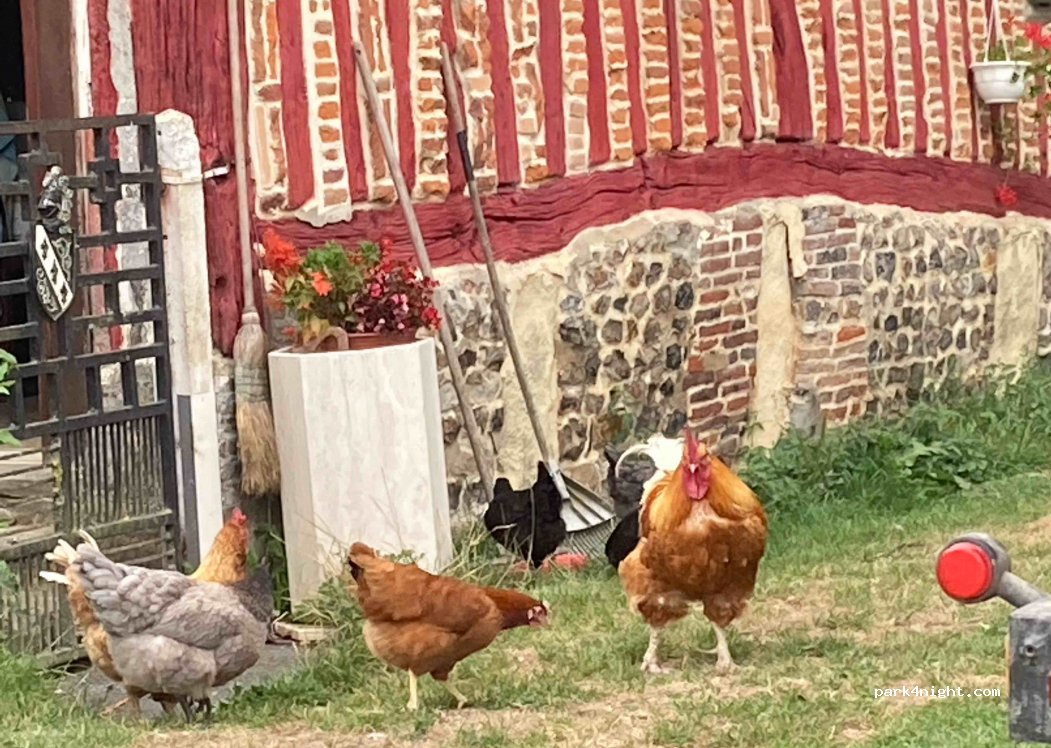 Ferme St Denis — foto 3