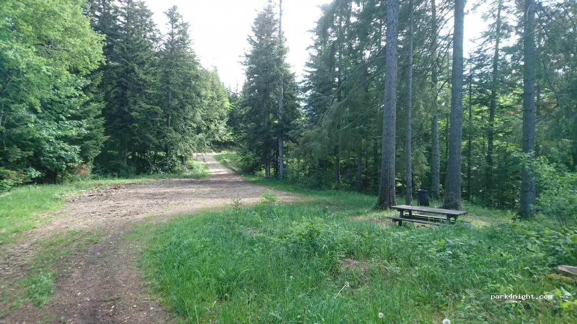 (01110) Plateau d'Hauteville - Route forestière au départ de La Praille — foto
