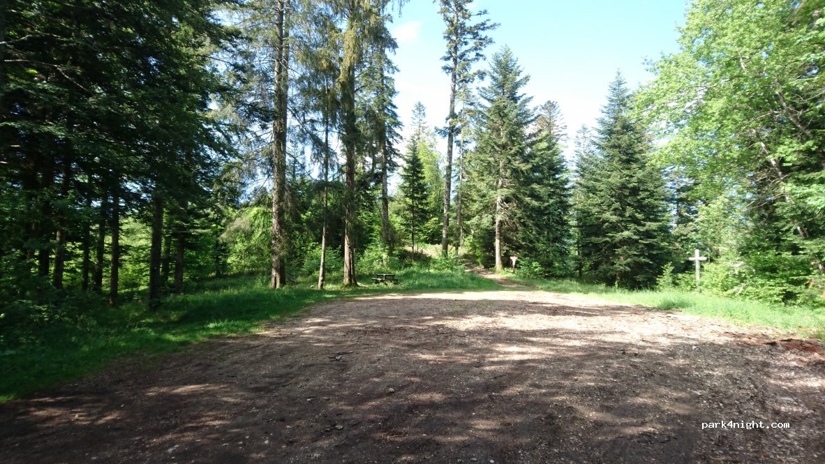 (01110) Plateau d'Hauteville - Route forestière au départ de La Praille — foto 2