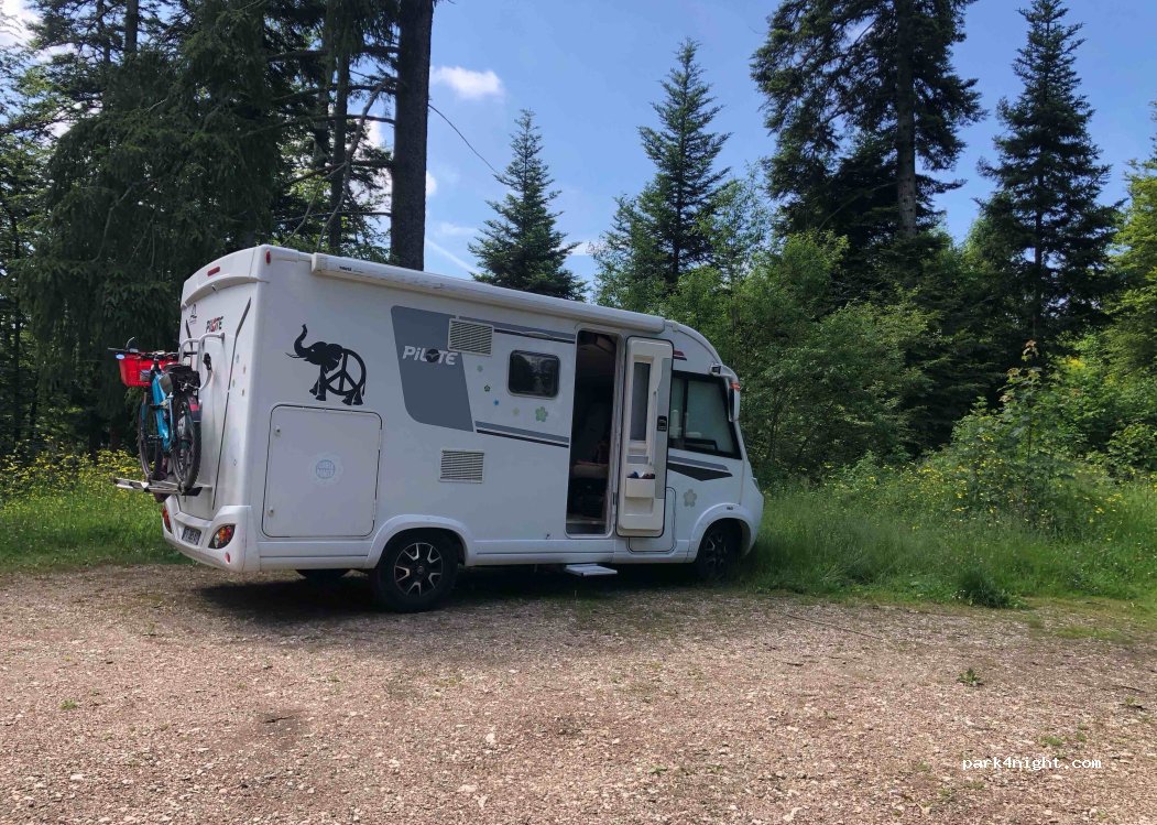 (01110) Plateau d'Hauteville - Route forestière au départ de La Praille — foto 4