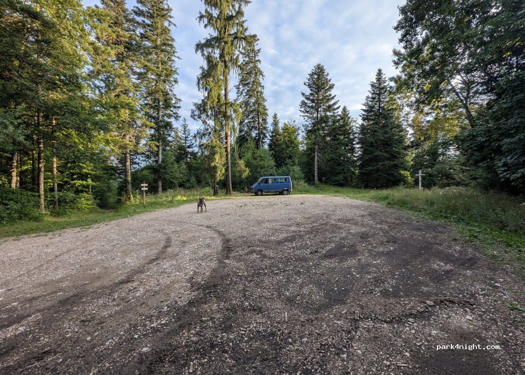 (01110) Plateau d'Hauteville - Route forestière au départ de La Praille — foto 5