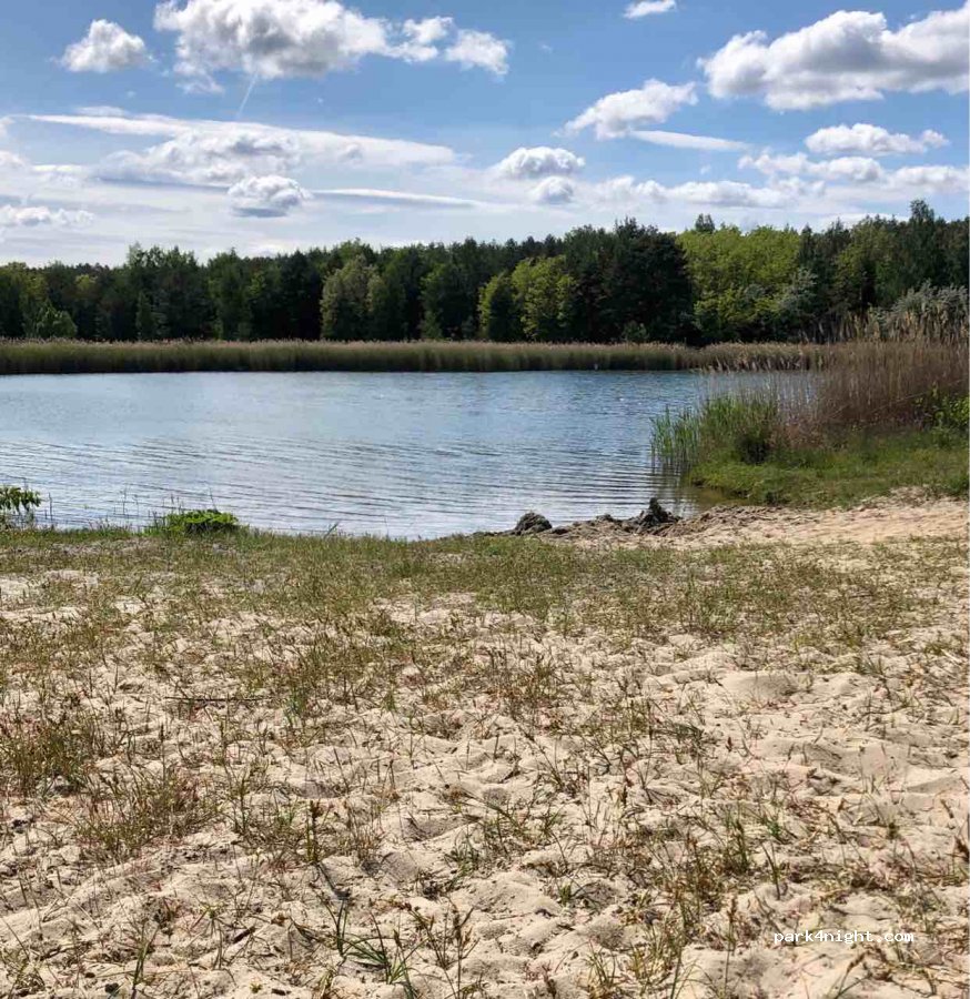 (06774) Muldestausee - — foto