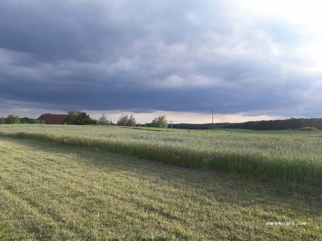 (17237) Blumenholz - 5 Wendfeld — foto
