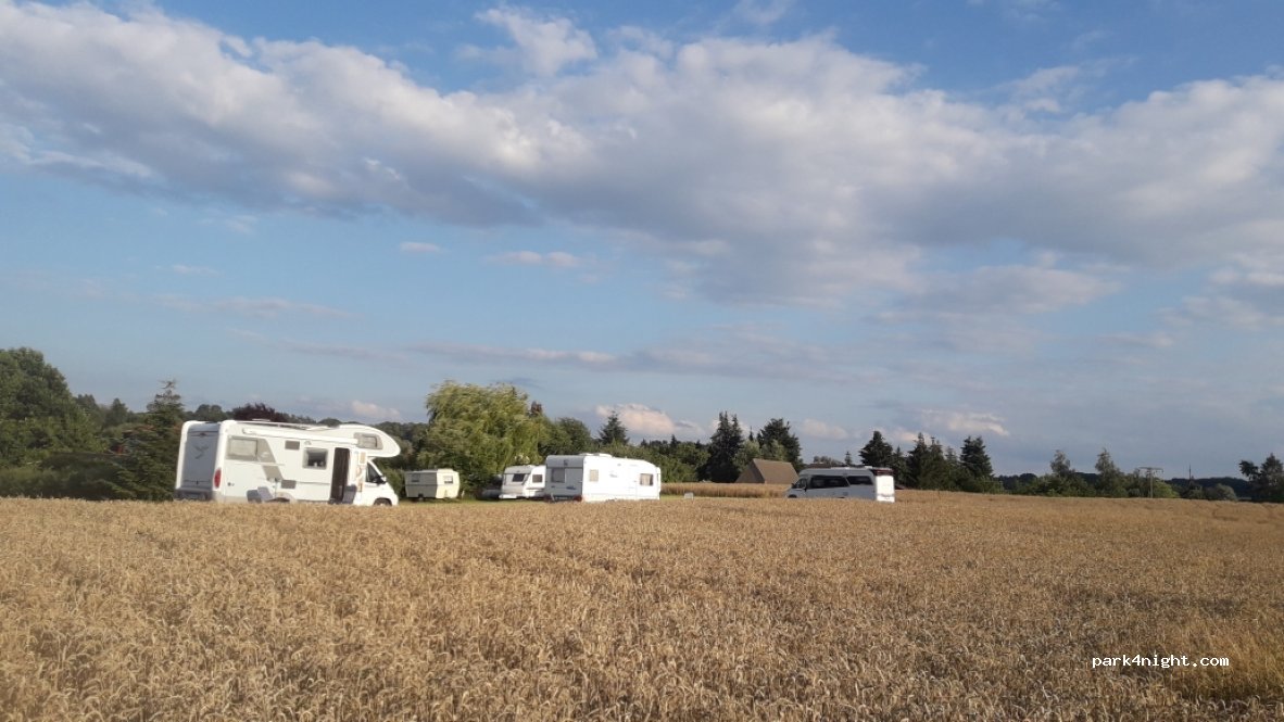 (17237) Blumenholz - 5 Wendfeld — foto 4