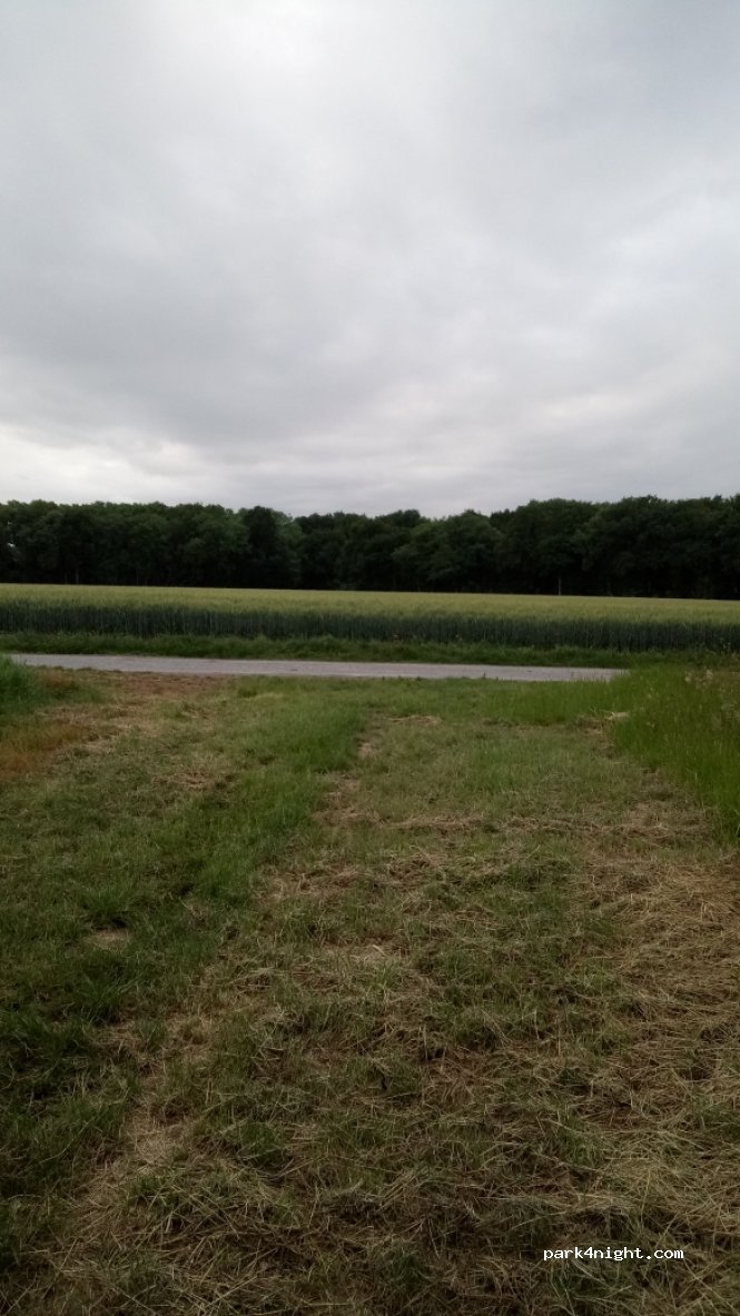 (51270) Fèrebrianges - Unnamed Road — foto