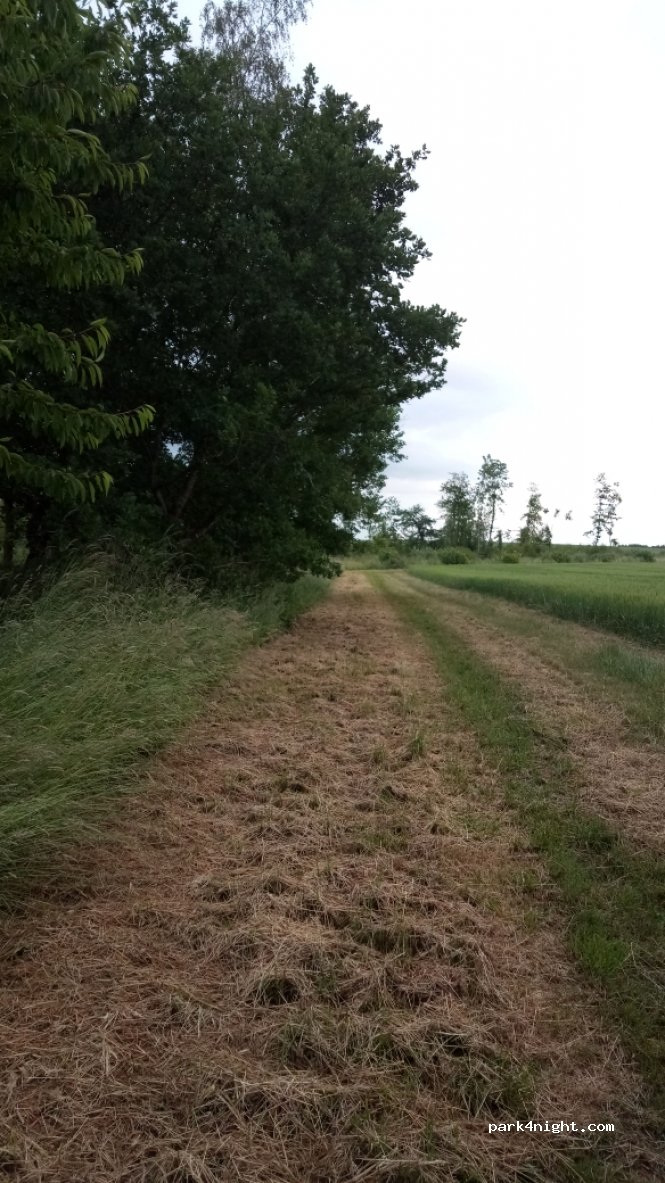 (51270) Fèrebrianges - Unnamed Road — foto 2
