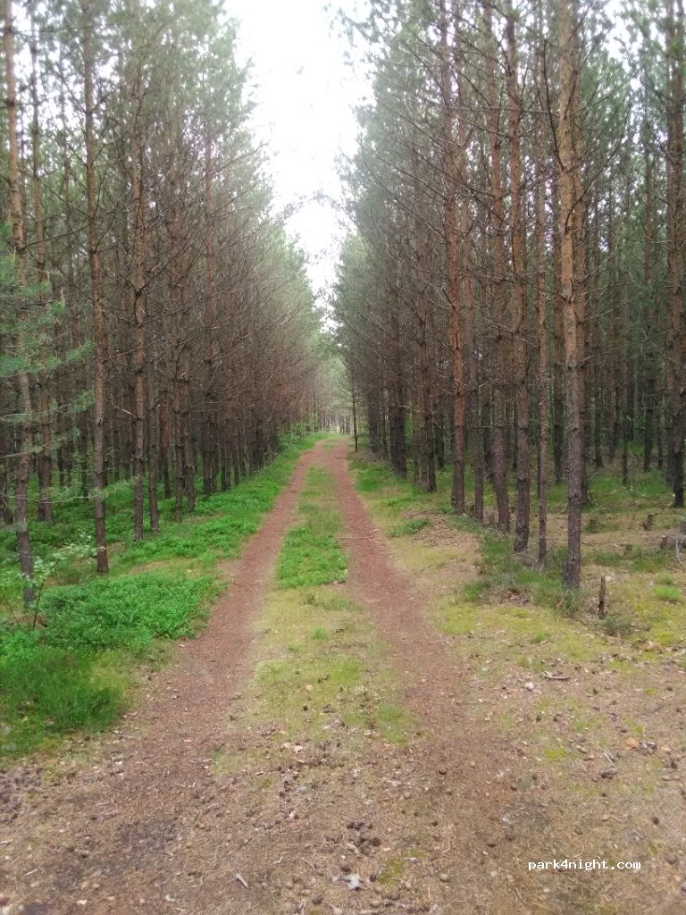 (471 24) Ralsko - Unnamed Road — foto