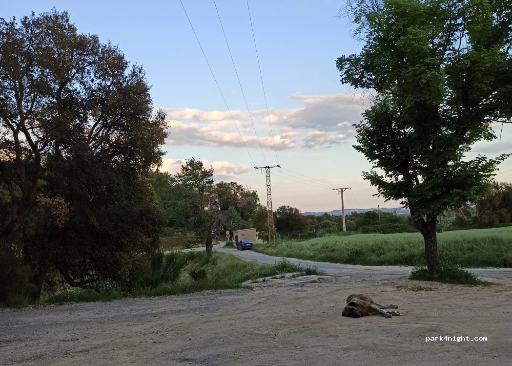(17421) L'Esparra - 38 Lloc de l'Esparra — foto 3