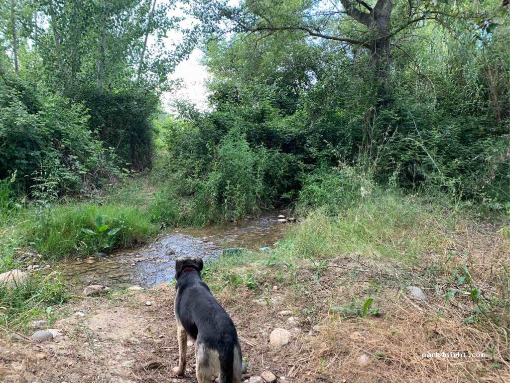 (25126) Alfarràs - Unnamed Road — foto 3