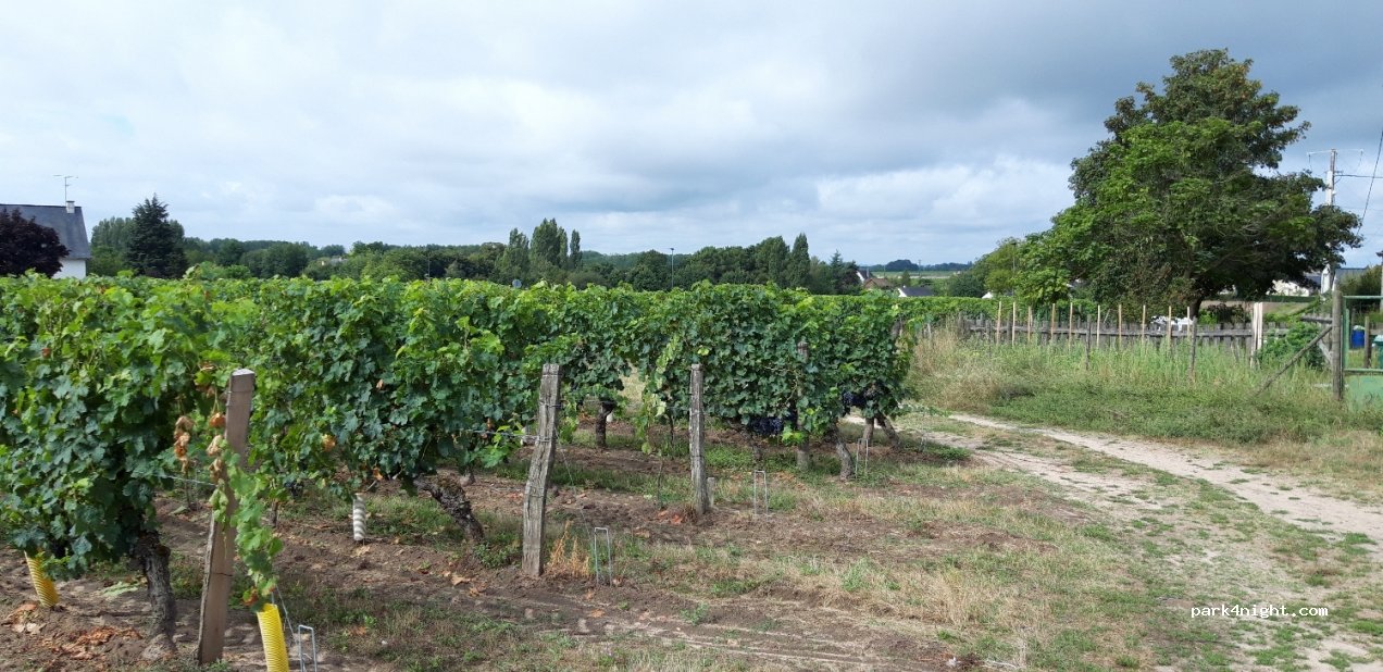 Vincent cuisinier de campagne — foto 3