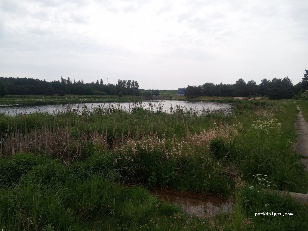 (97-200) Tomaszów Mazowiecki - Zwierzyniecka — foto 2