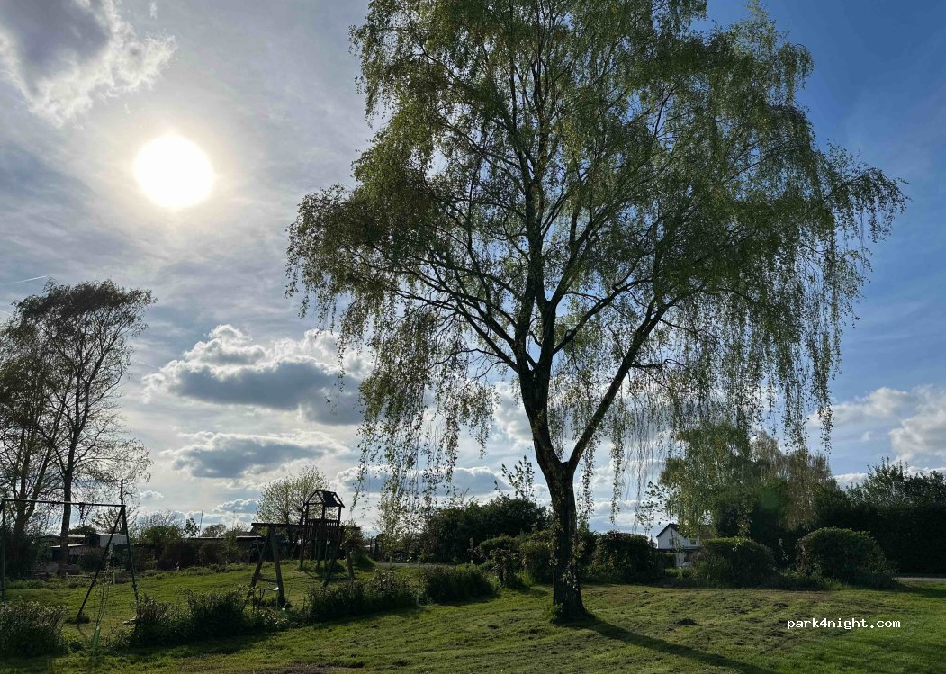 Camping auf Grietherort — foto 2