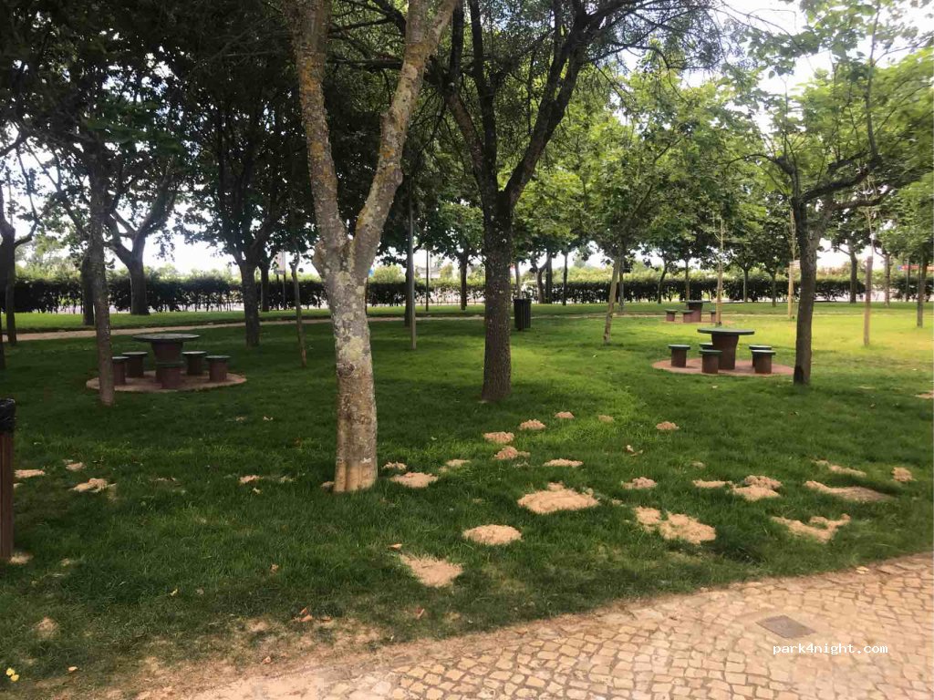 (2090-102) Alpiarça - N118 — foto