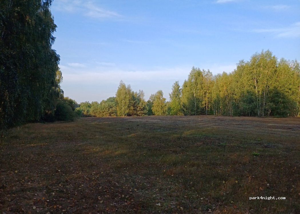 (16244) Schorfheide - 14 Amselweg — foto 2