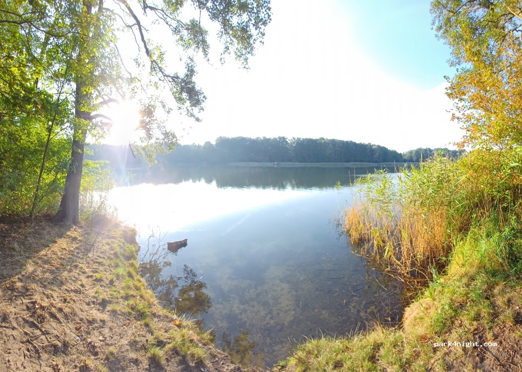 (16244) Schorfheide - 14 Amselweg — foto 3