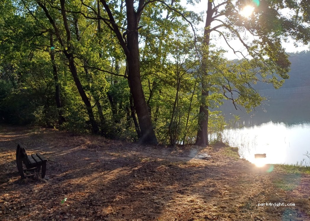 (16244) Schorfheide - 14 Amselweg — foto 4