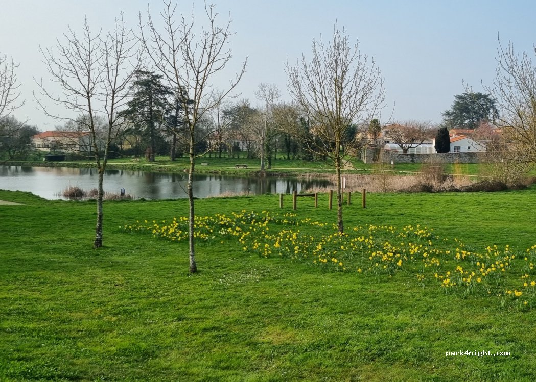 (85130) Saint-Aubin-des-Ormeaux - Rue du Lavoir — foto 2