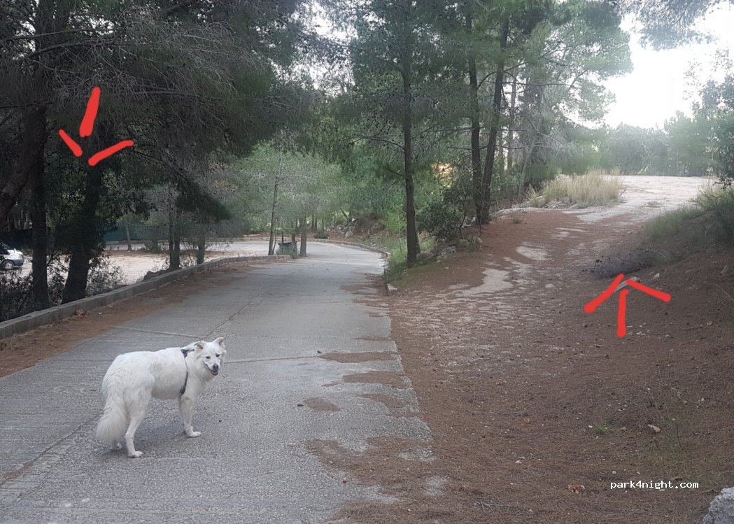 (46760) Tavernes de la Valldigna - 67 Partida Raco de Joana — foto