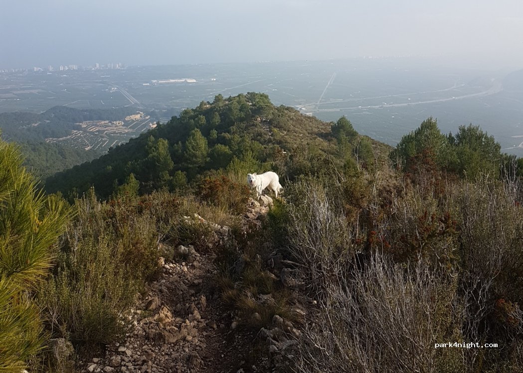 (46760) Tavernes de la Valldigna - 67 Partida Raco de Joana — foto 3
