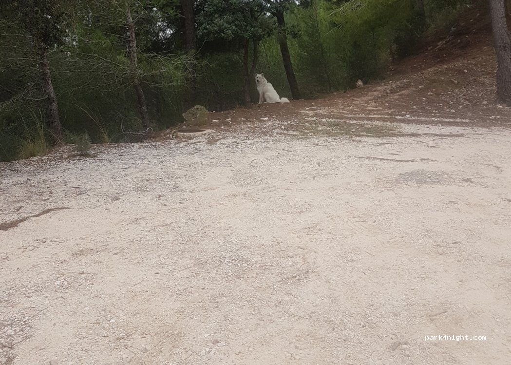 (46760) Tavernes de la Valldigna - 67 Partida Raco de Joana — foto 4
