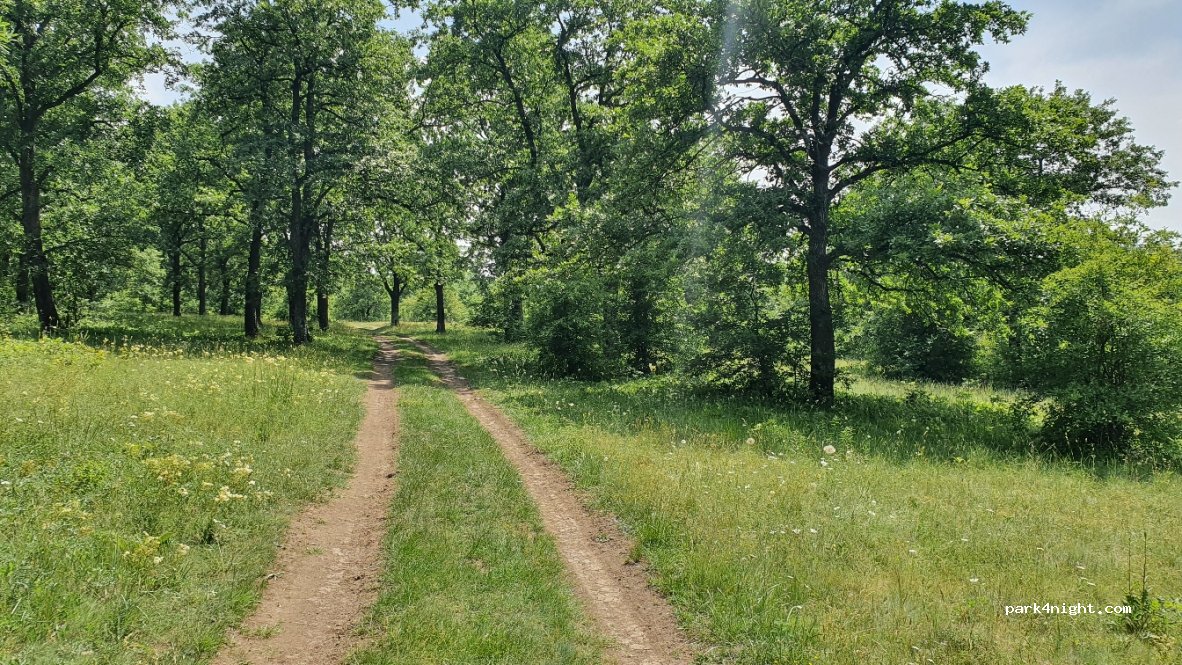 () Sveshtari - Unnamed Road — foto