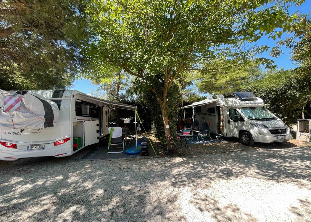 Camping La Pineta — foto
