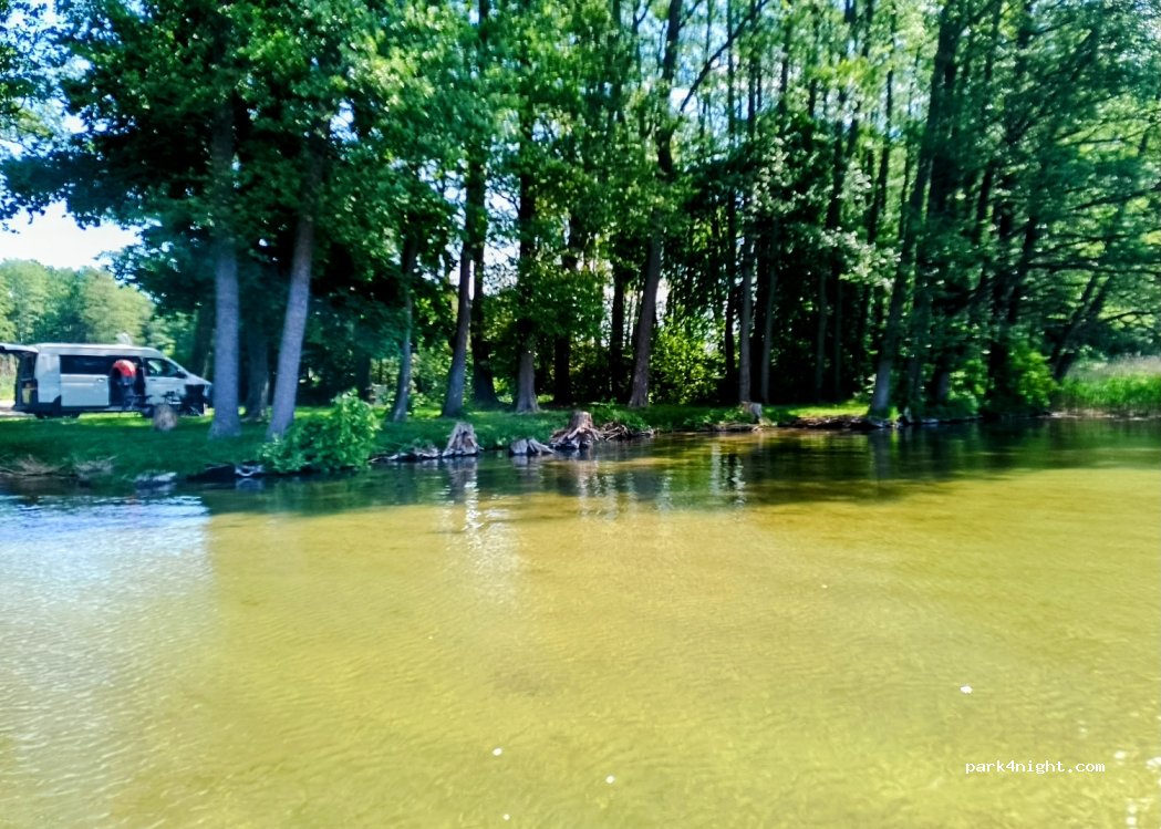 Camping  Zwierzyniecki Horn — foto 4