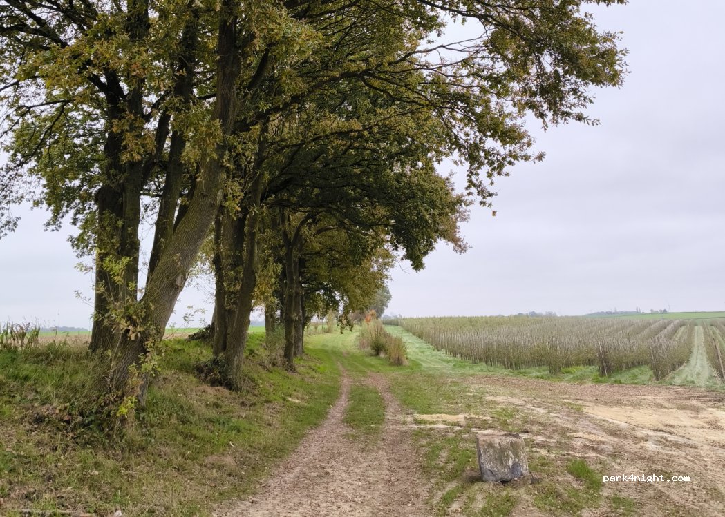 (4530) Villers-le-Bouillet - Voie du Geer — foto 3