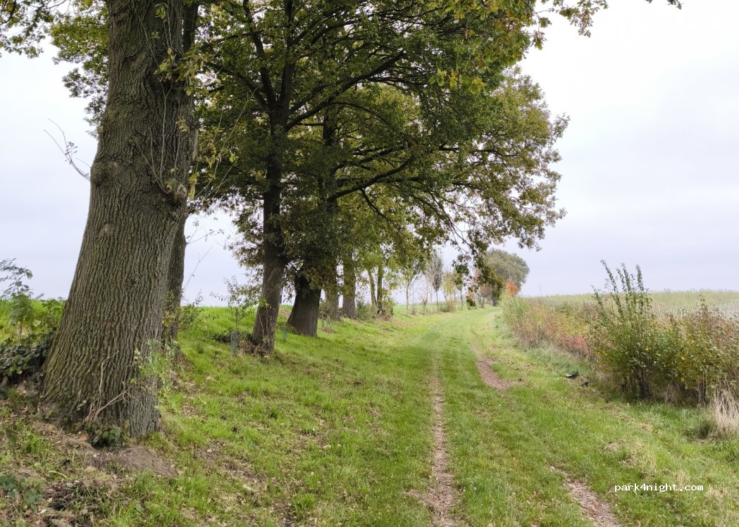(4530) Villers-le-Bouillet - Voie du Geer — foto 5