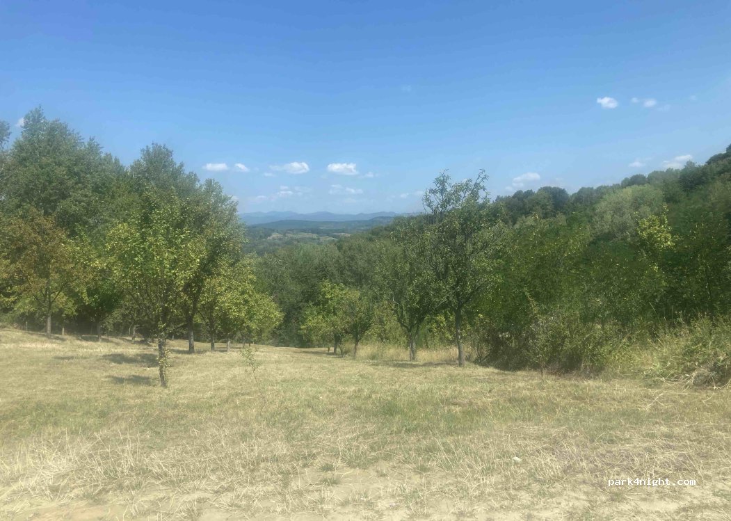 (117743)  - Unnamed Road — foto