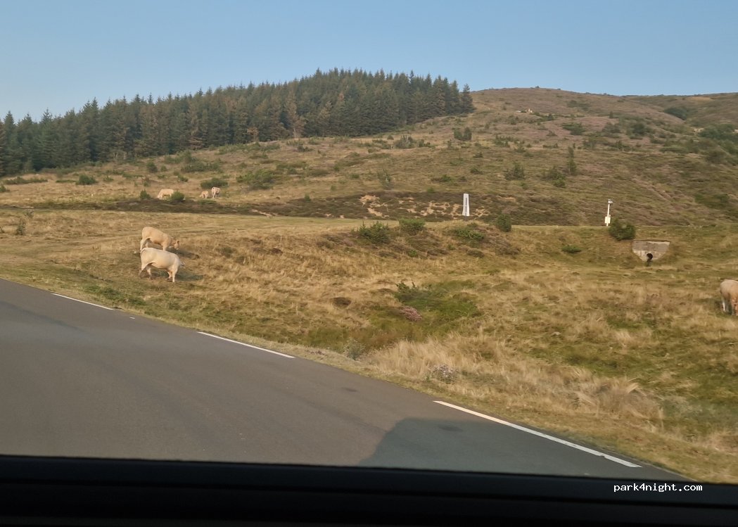 (65400) Beaucens - Unnamed Road — foto 4