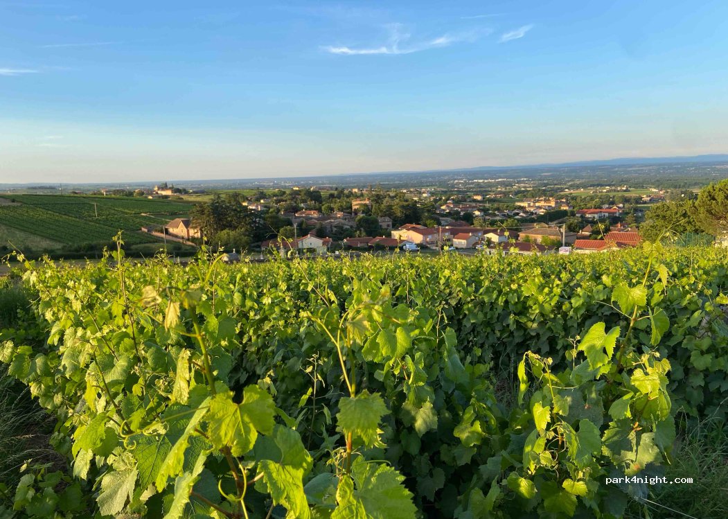 Domaine des Maisons Neuves — foto 4