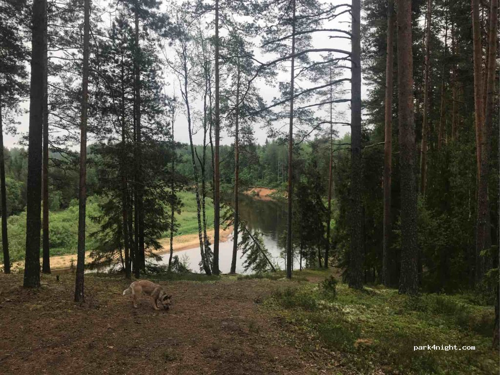 (4730)  - Unnamed Road — foto 3